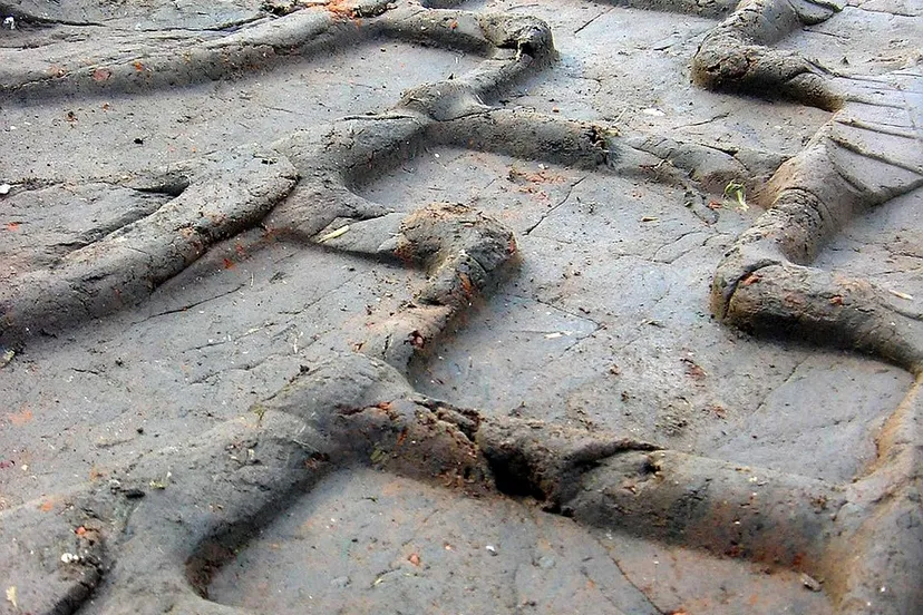 tire tracks 504470 1280