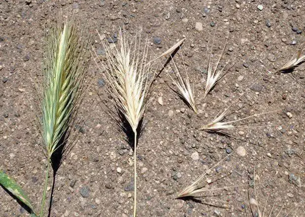 schermafbeelding 2025 05 20 142609