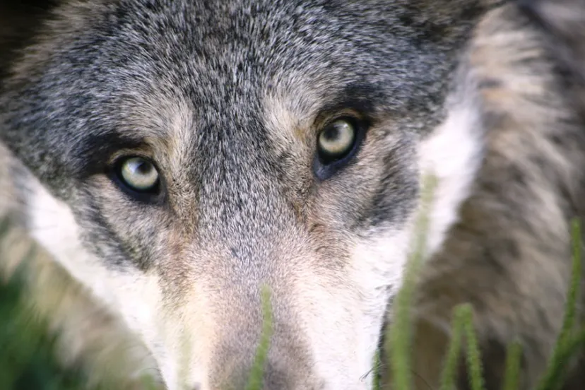 schermafbeelding 2025 05 26 110640