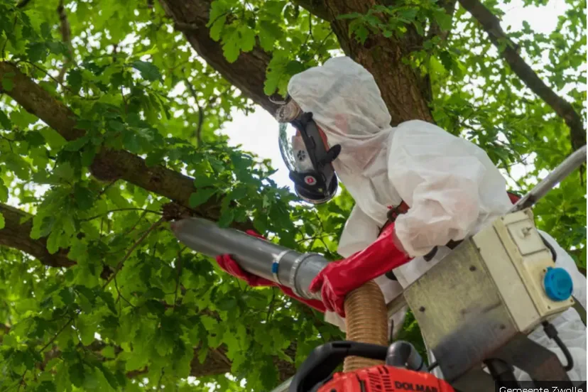 schermafbeelding 2025 06 20 111044