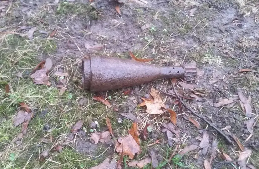 10406647 586549231497062 2967253569556586524 n