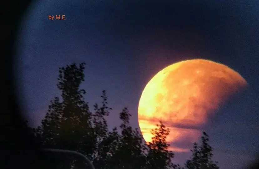 12083747 10153660625950798 83401188 n