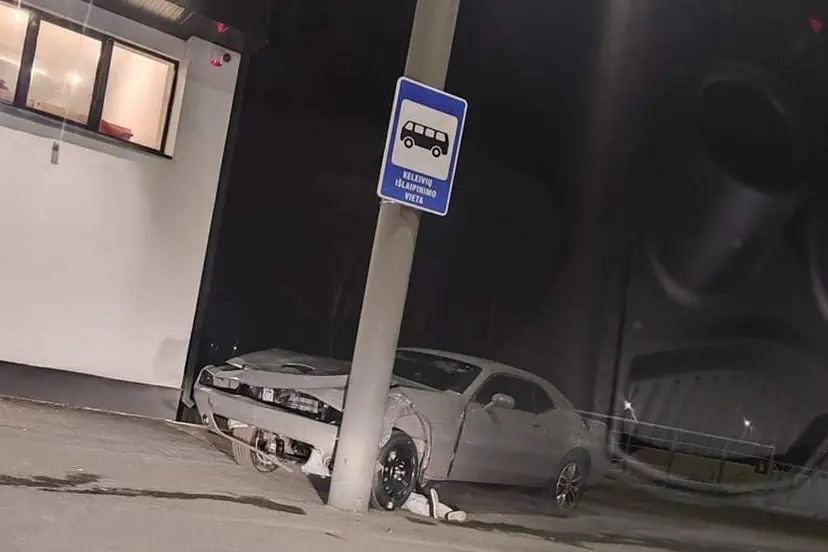 251009238 4482552145160415 1108372023556960827 n