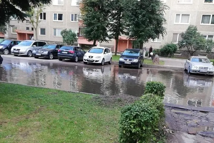 41576852 312210922887312 5852115720753643520 n 1