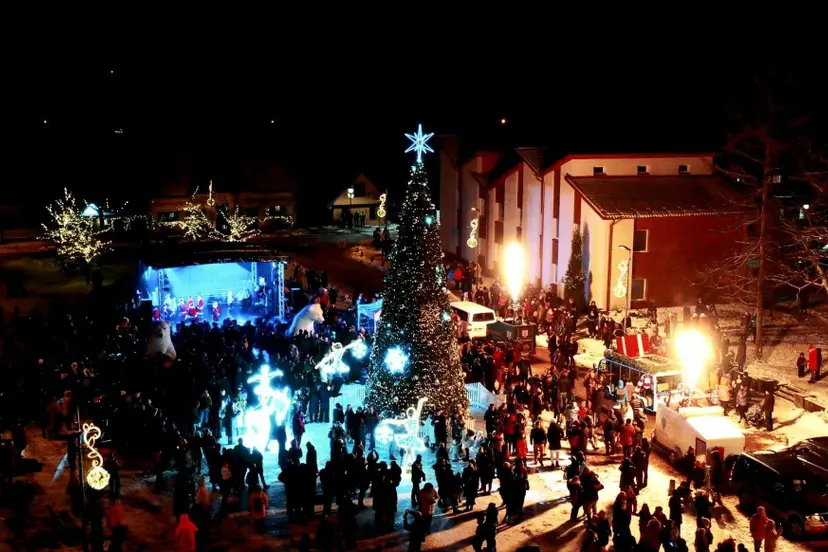 4kvaikas mere 2021 12 04 birstono gelutes iziebimas00 02 20 06still008
