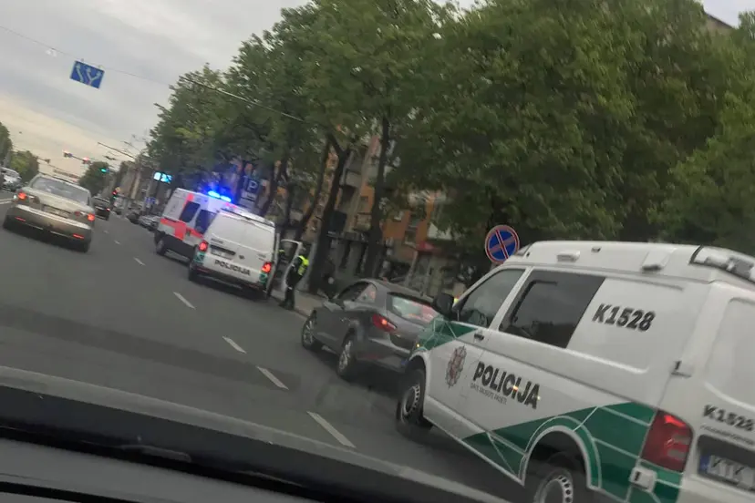 60346998 2258592084184752 8559785669633769472 o