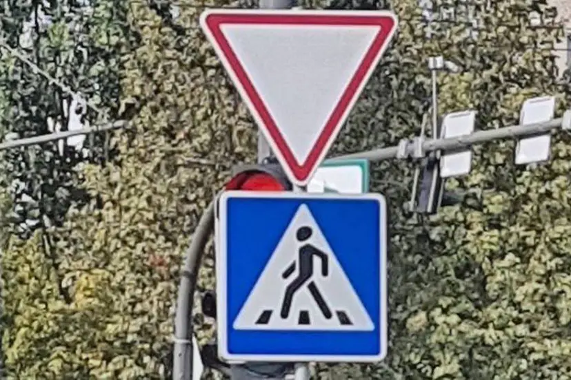 71380024 493296528127129 8115287207679361024 n