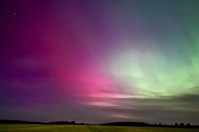743c544358f2fd1b6bda0e278ed1bd69