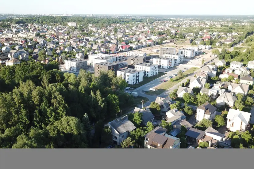 aleksotas