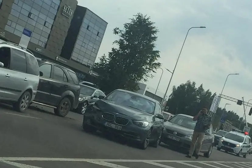 aleksoto maxima baz