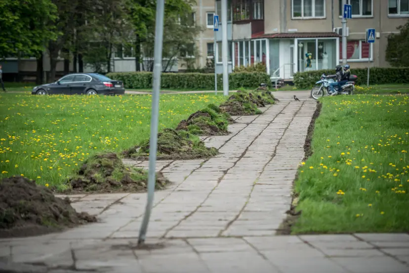 aligatviai krvs prospekte 1