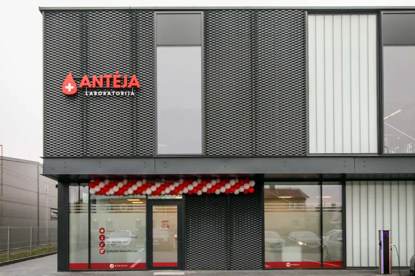 anteja pagrindine