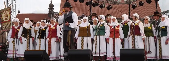 atataria lamzdziai 2013 saulala