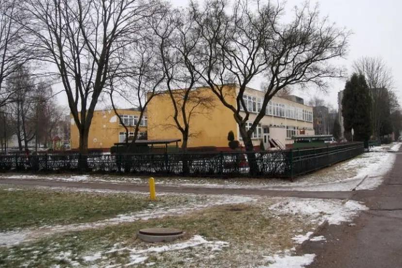 atsistatydina kdaini vaiko teis apsaugos skyriaus vedja 01