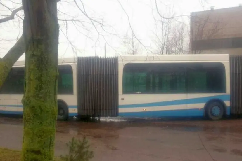auto 5