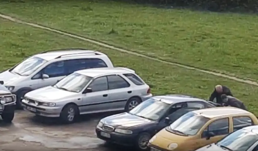 auto