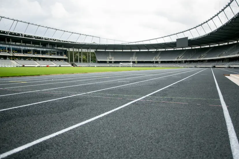 dariaus ir gireno stadionas