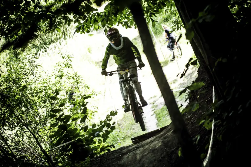downhill 3