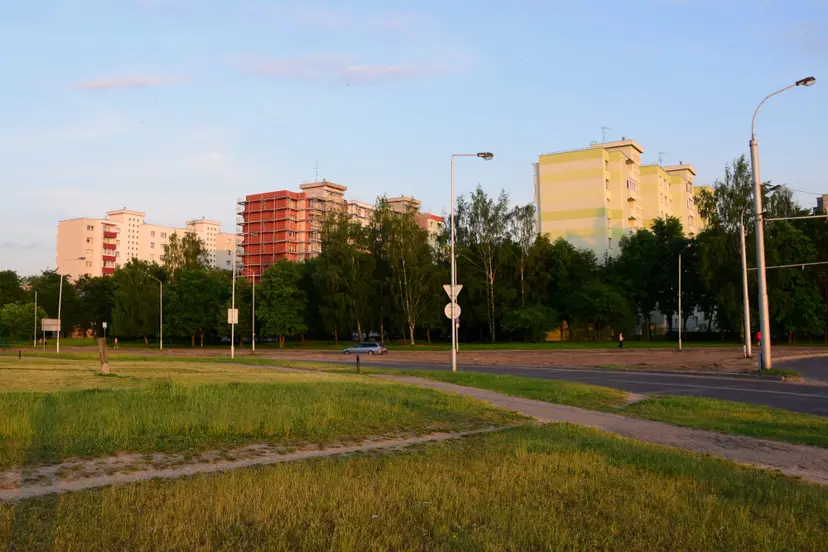 dsc 0007