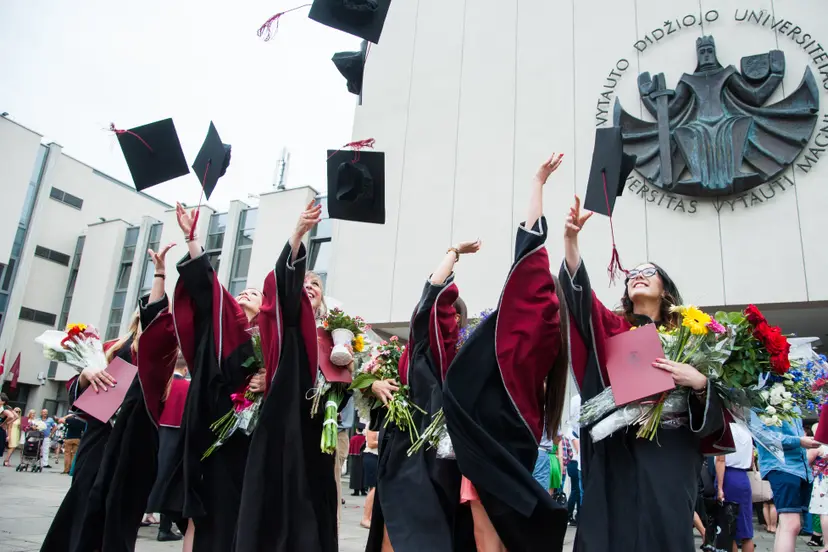 dsc 3710