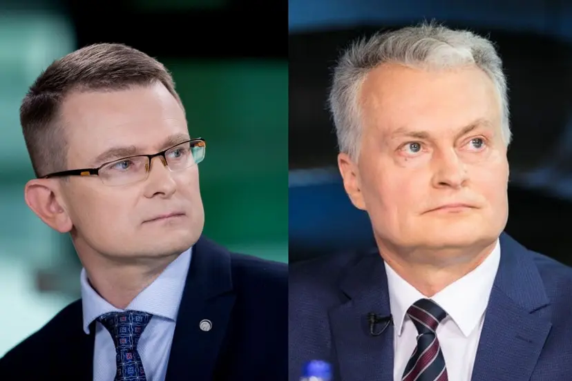 dulkys ir nauseda