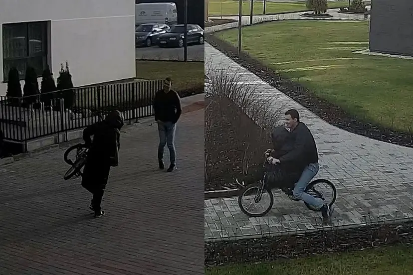 dviraio vagyst