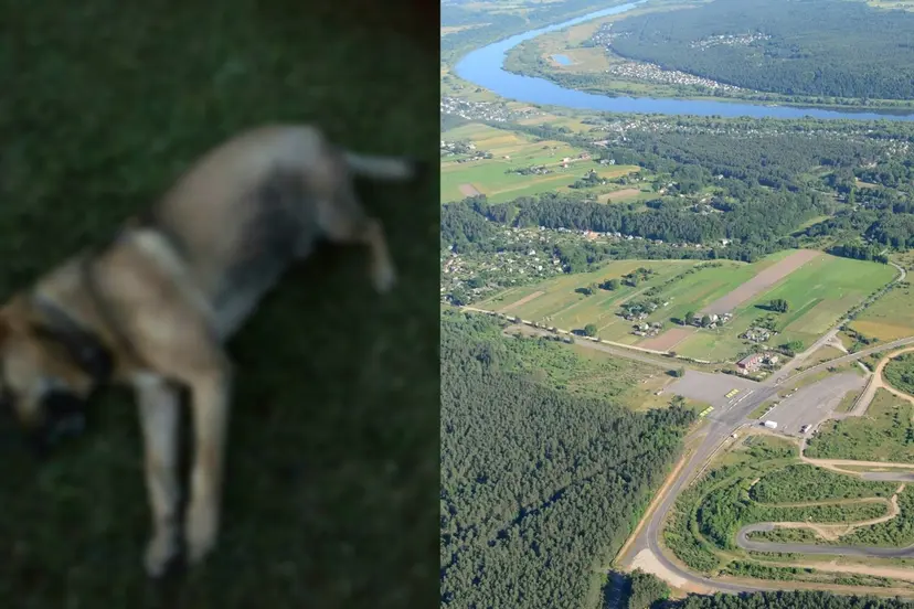 egzekucija uniui