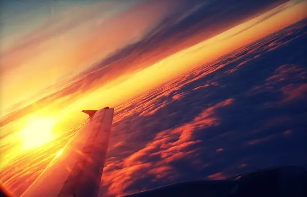 fly1