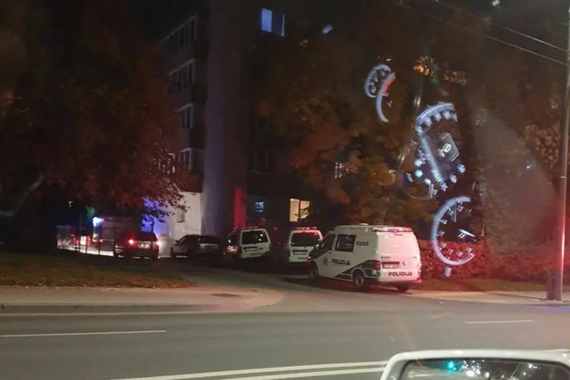 gaisras kovo 11 osios