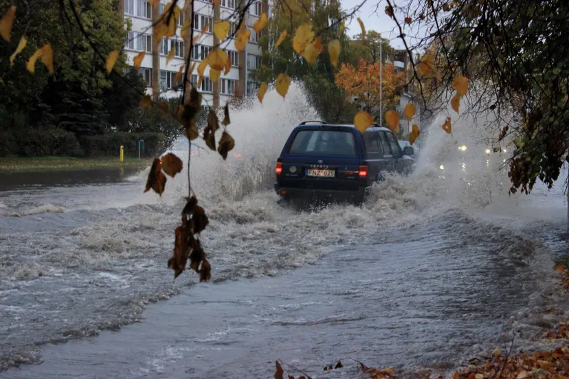 img 7871