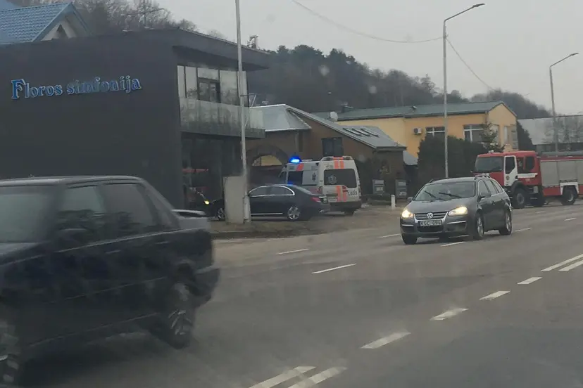 jonavos g