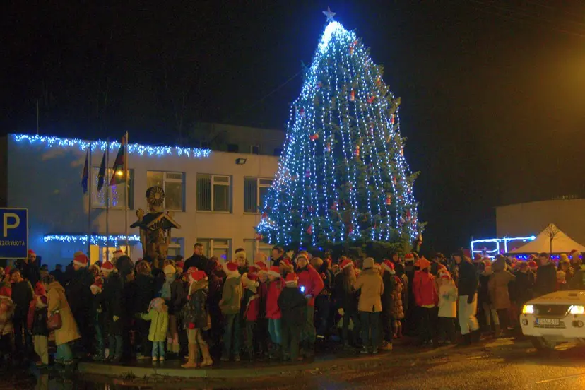 kaledu egles iiebimas garliavoje 12