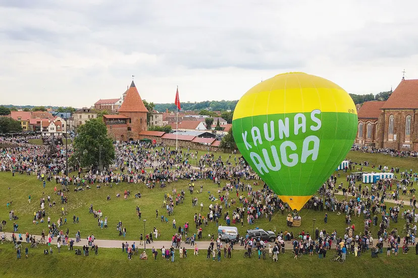 kaunas auga