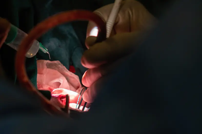 kauno klinik nuotrauka