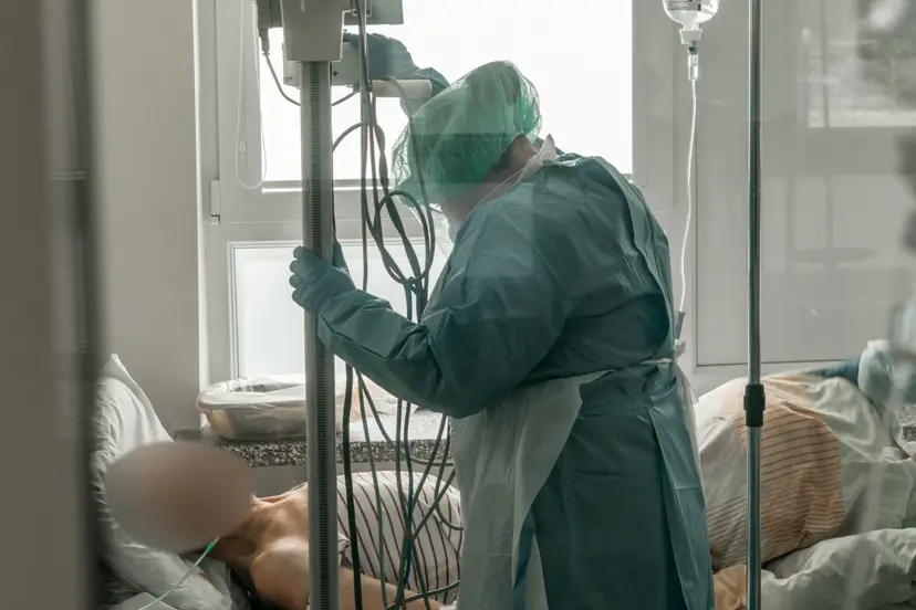 kauno klinikine ligonine 84120545