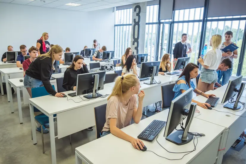kauno kolegija pagrindine