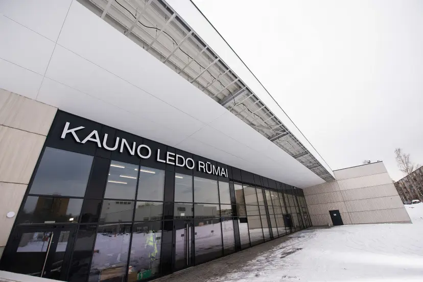 kauno ledo rumai