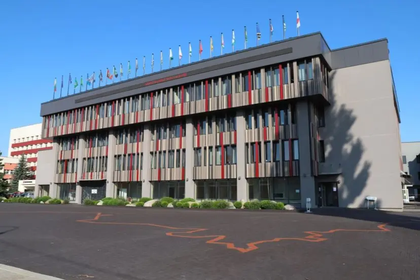 kauno rajono savivaldybe savanoriu 371