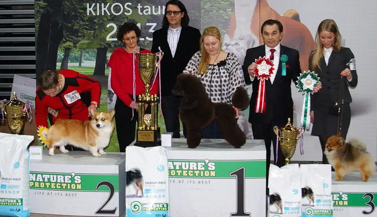 kika taurs 2013 laimtojai