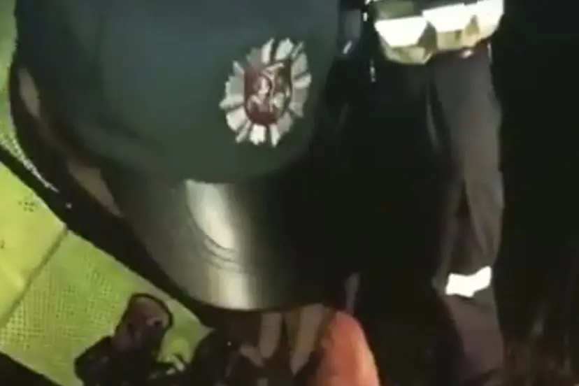 kinologai su unimi nidoje