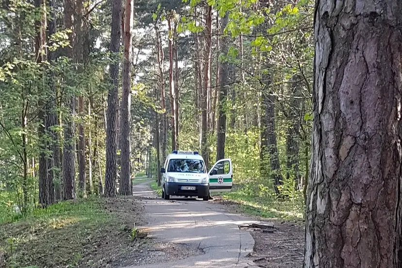 kraupusradinys