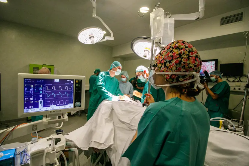 kvk 1338