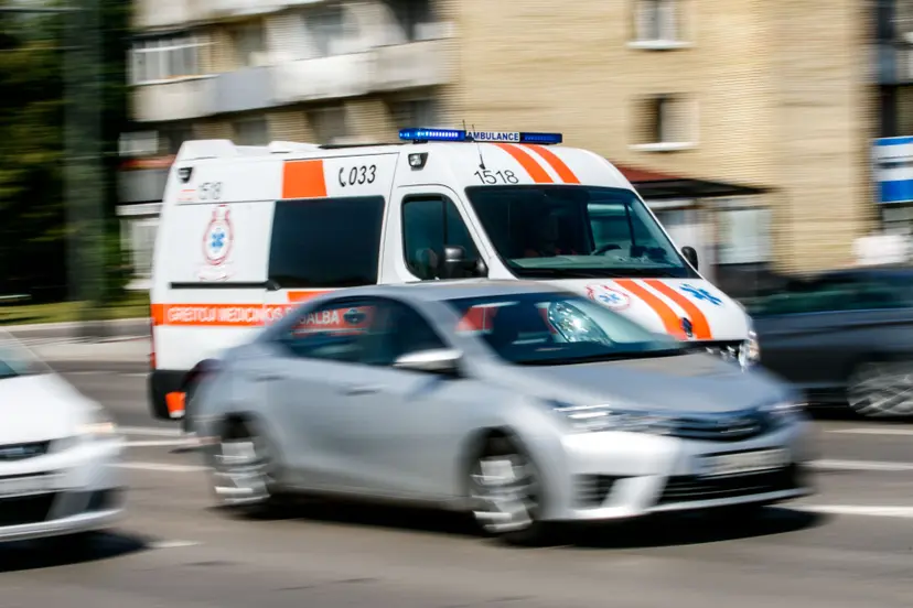 kvk 3133