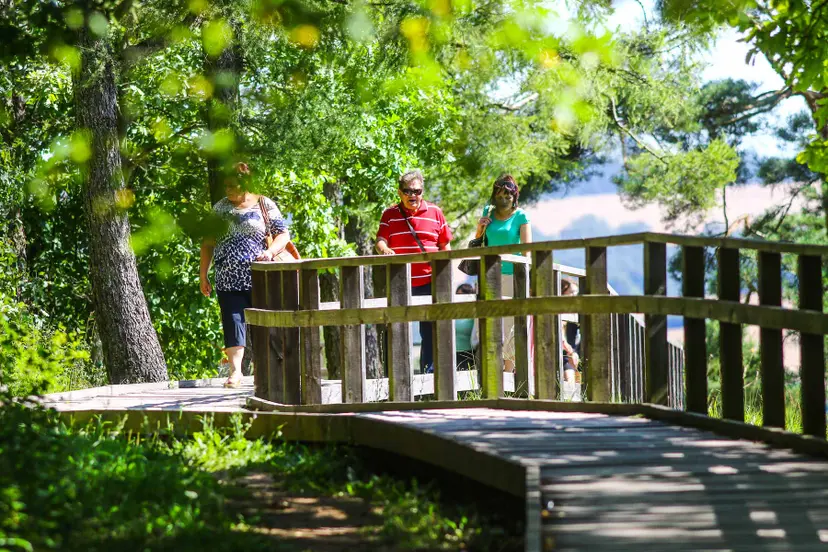 kvk 8820