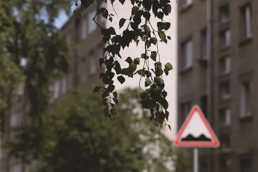 lukio gatv kdainiuose