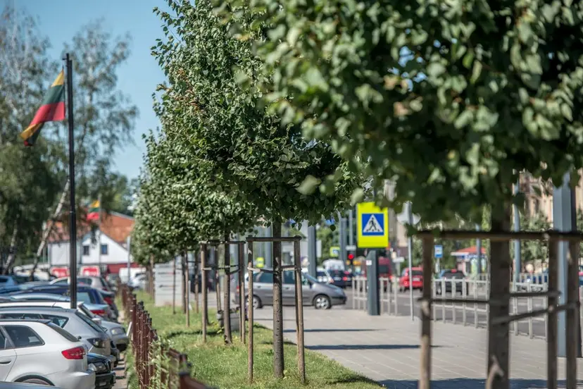 mediai juozapaviiaus gatvje 6
