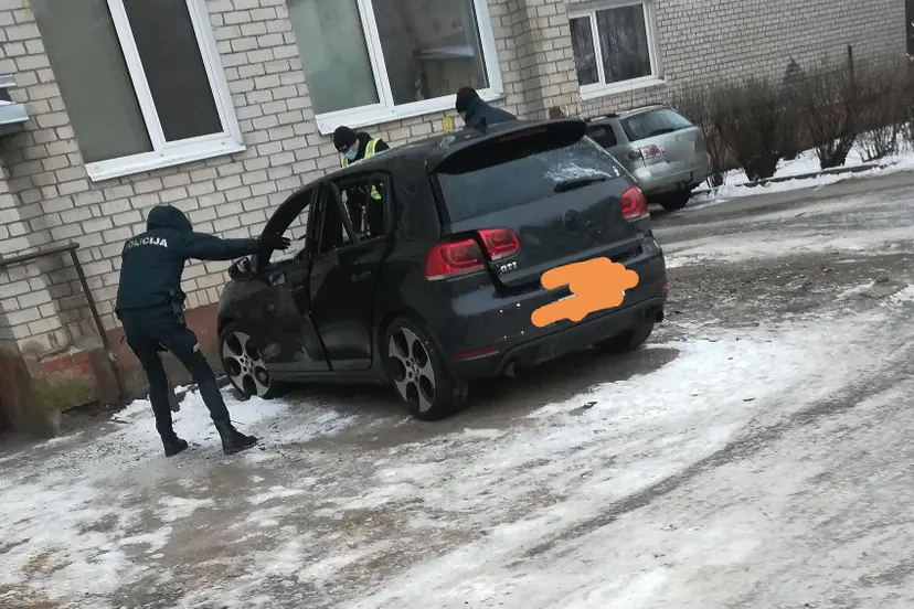 medvegalio gatveje sprogo auto