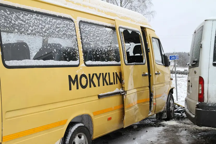 mikroautobuso avarija 12