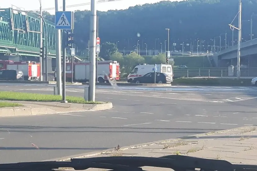 mkiurlionio tiltasi 01
