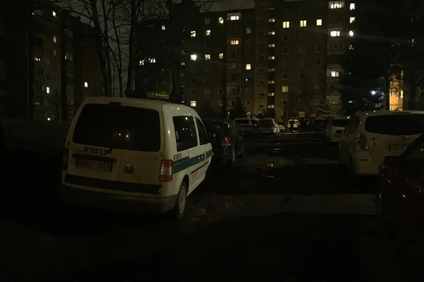 mogudyste ilainiuose 002